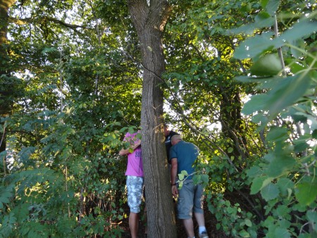  ? ZWART WIT MET KLEURTJE..